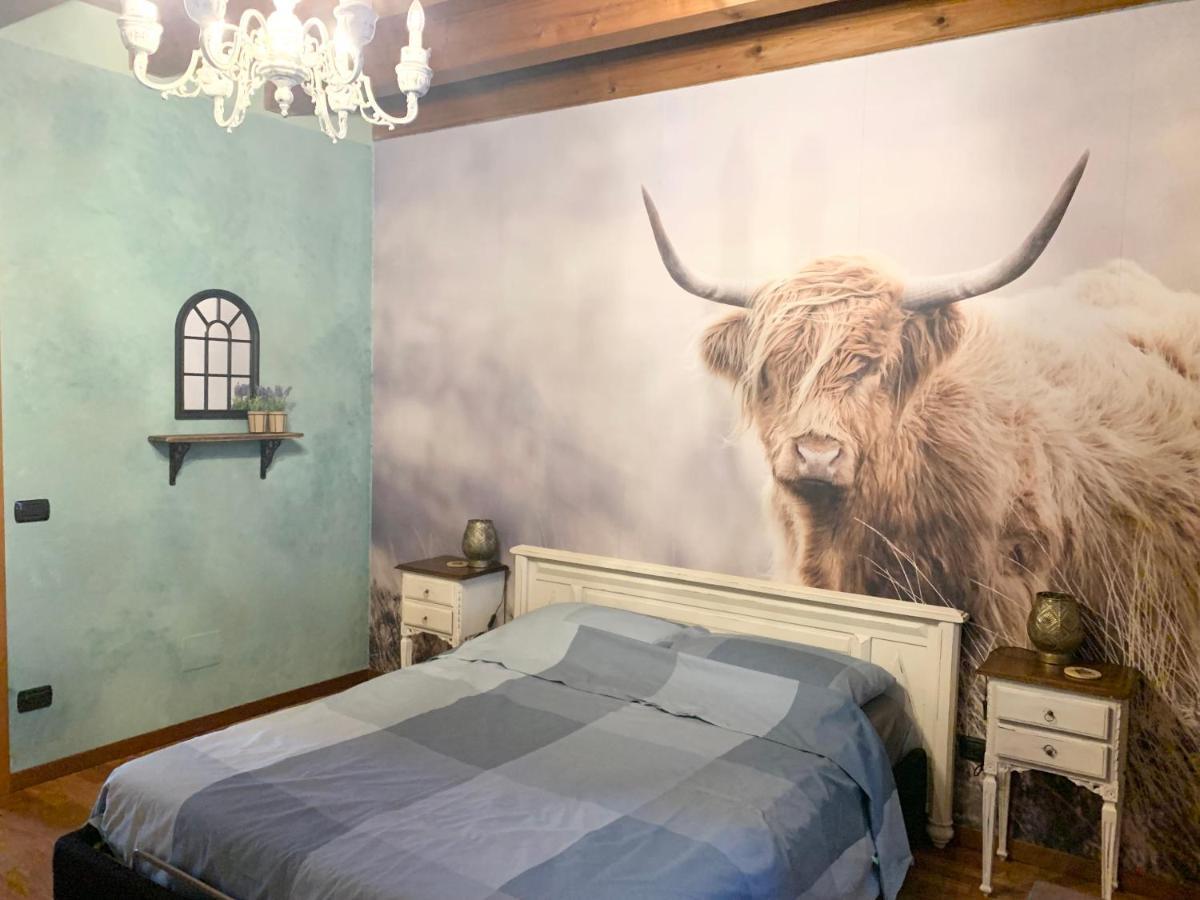 B&B Acquagrossa Сан-Мартино-Буон-Альберго Экстерьер фото
